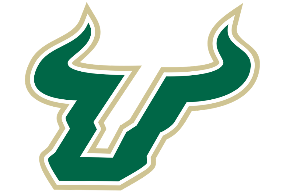 USF rebrands (again), not so bullish on new logo after all • St Pete