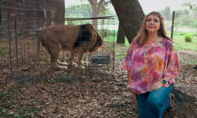 Tampa entrepreneur expands immersive VR tech to Baskin’s Big Cat Rescue, more