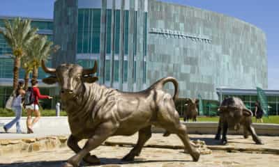 U.S. News and World Report rankings: USF is the fastest-rising school in the nation