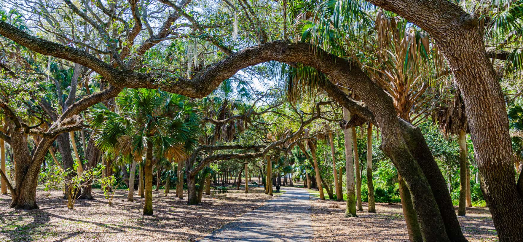 Abercrombie Park