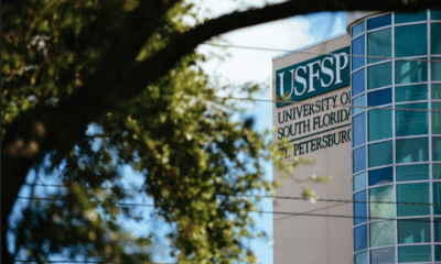 USF program gives first-year students real-world job experience