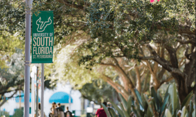 USF St. Pete teams up with local leaders to address racial inequities