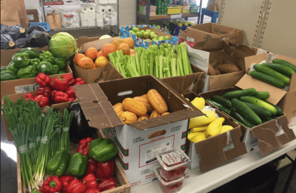 St. Pete Free Clinic to offer increased access to nutrition • St Pete Catalyst