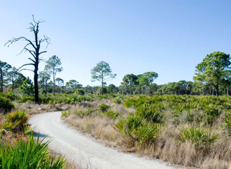 Boyd Hill Nature Preserve to expand with Tomalin campground • St Pete ...