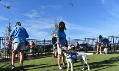 St. Pete-Clearwater International Airport opens an on-site dog park for travelers