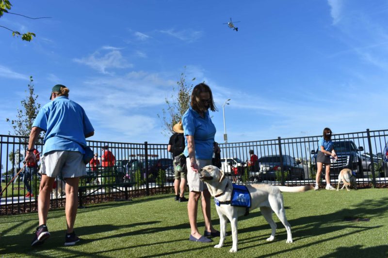 Bark Park