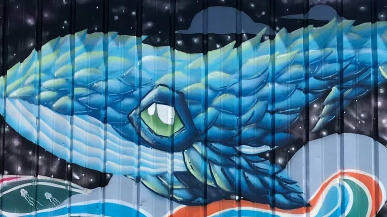 SHINE mural artists announced for November • St Pete Catalyst