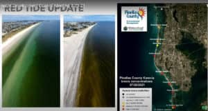 Red tide now appears more concentrated along Pinellas gulf coast - St ...