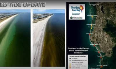 Red tide now appears more concentrated along Pinellas gulf coast