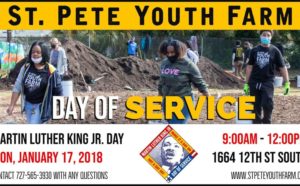 St. Pete Youth Farm MLK Day of Service 2022