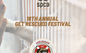 18th Annual Get Rescued Festival