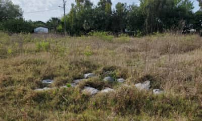 Site of Seminole’s historic Porpoise Pub to become a car wash