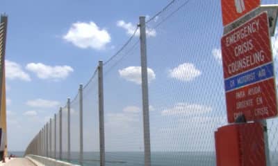 Suicide attempts decline with Skyway Bridge barriers