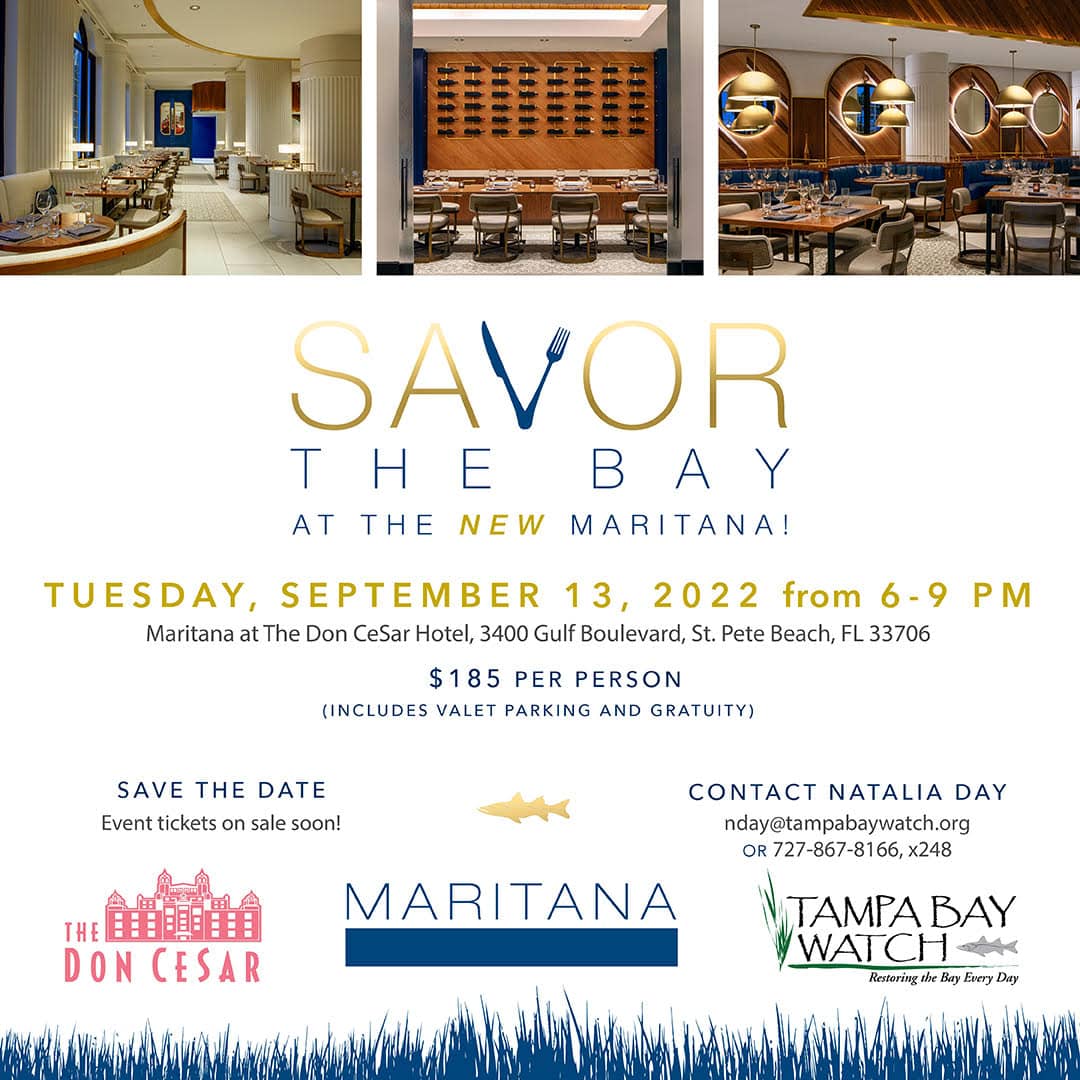 Savor the Bay • St Pete Catalyst