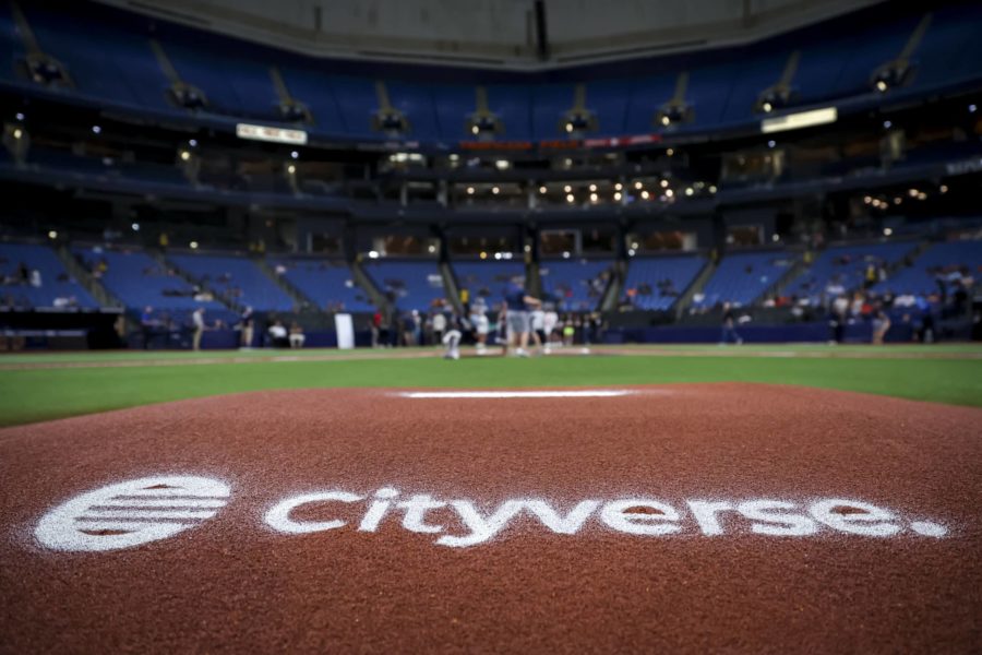 2019 Tampa Bay Rays Batting Practice Experience