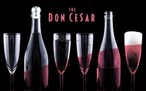2023 Don CeSar New Year's Eve Celebration