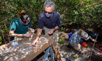 USF anthropologists return Indigenous remains