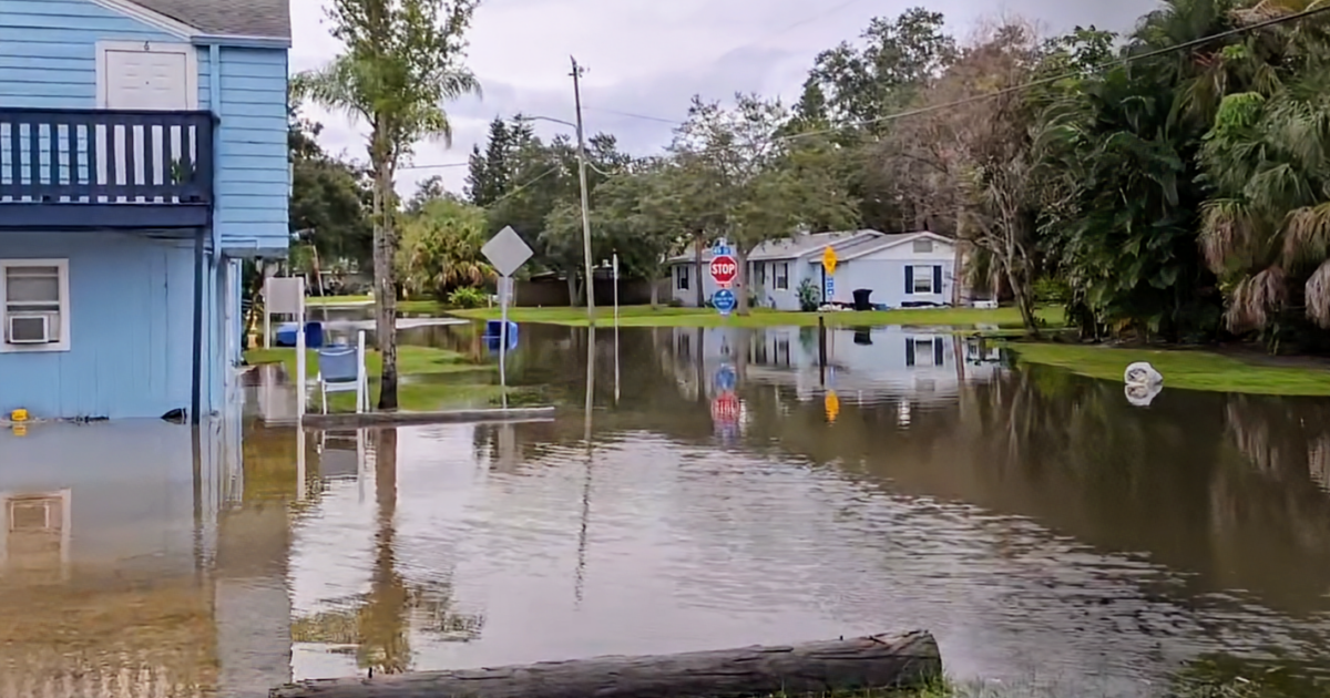 Local hurricane flooding begins, will increase exponentially • St Pete ...