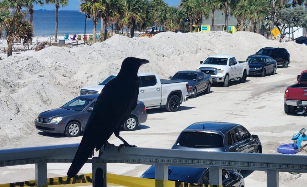 Officials: Deficient beach ‘infrastructure’ increased storm flooding