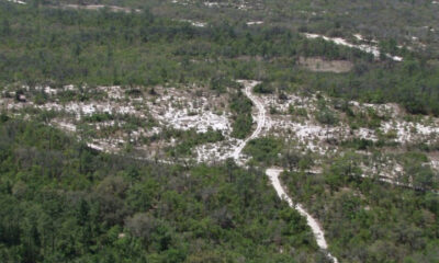 Welcome to Florida: Lake Wales Ridge